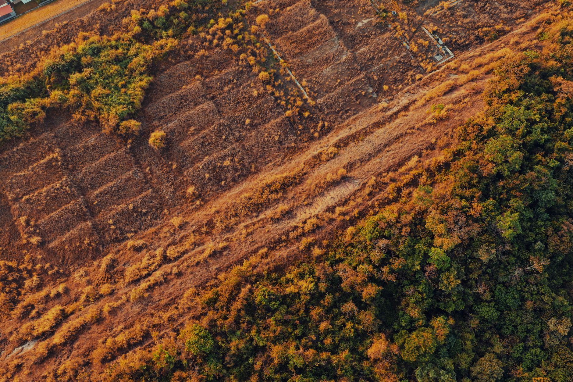 Ready-to-Build: How Land Clearing Transforms Your Property