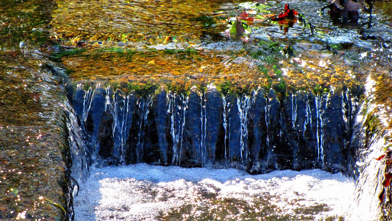 The Hidden Lifeline: Why Regular Drain Maintenance is Essential for Your Home