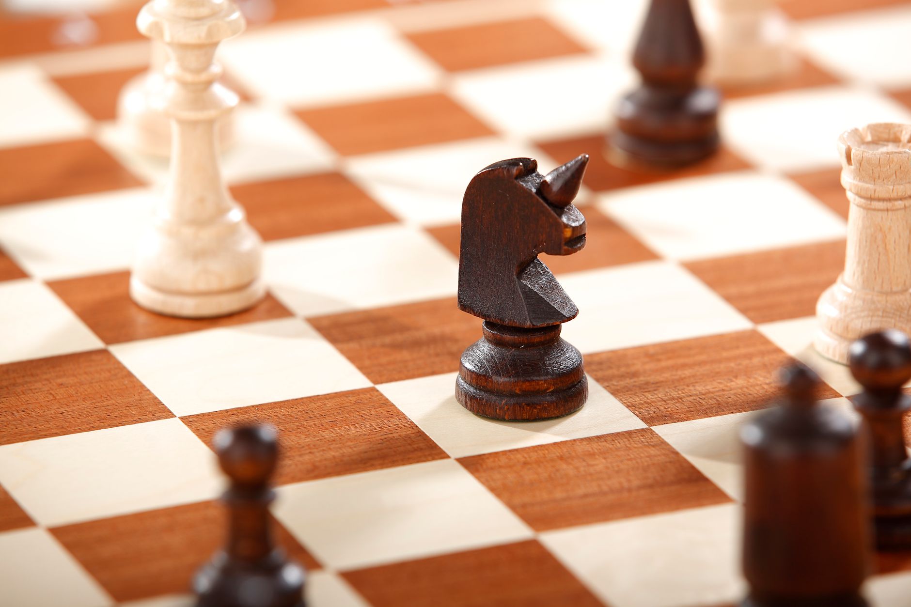 Business Strategy: Designing Sustainable Advantage in a Competitive World