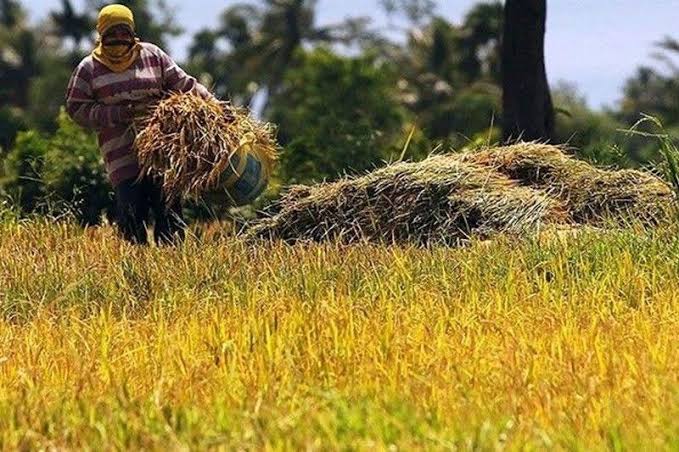 Navigating the Selection Process for a Crop Insurance Agency