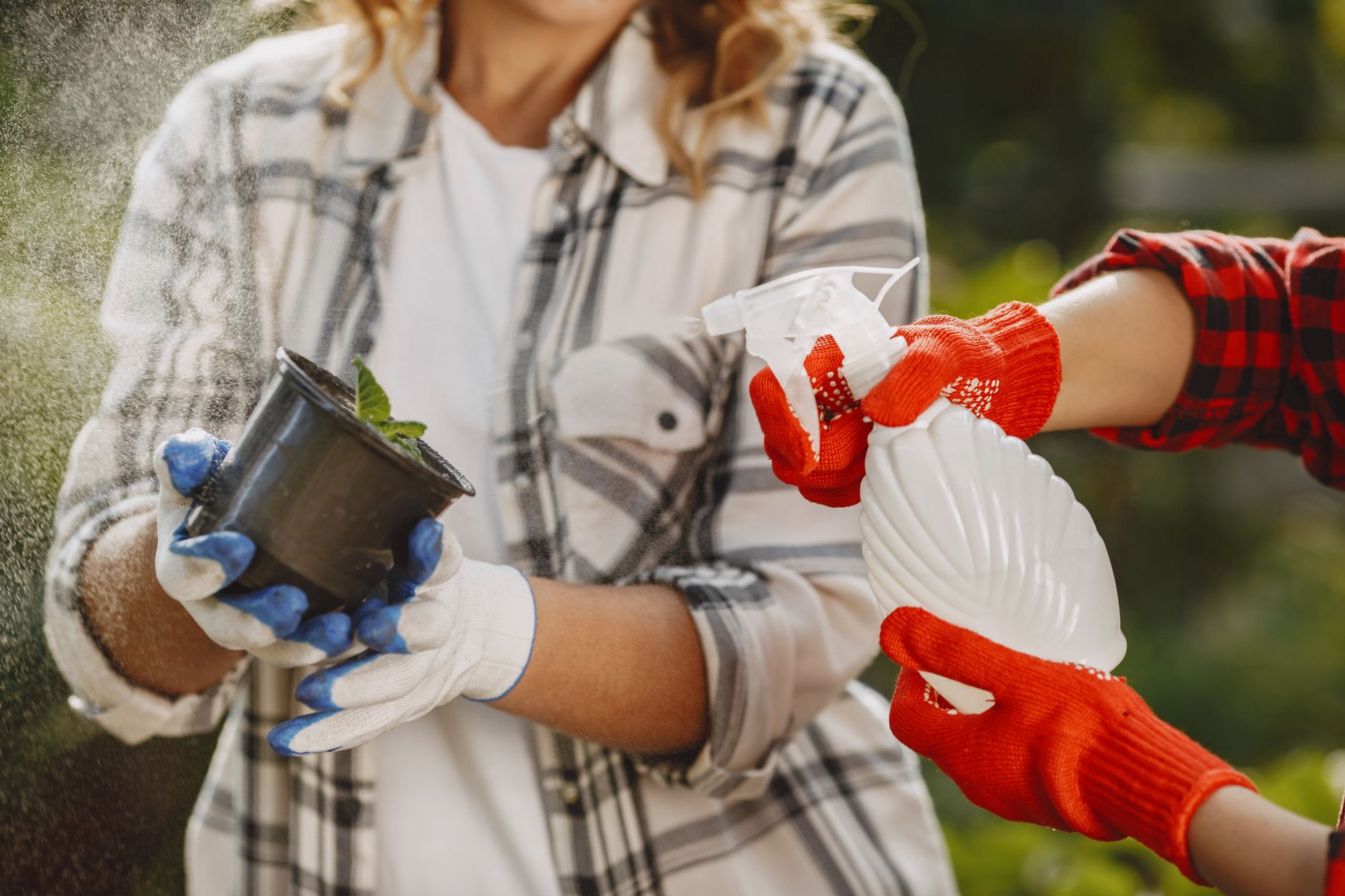 Tips for Getting the Best Paraquat Lawsuits Lawyers
