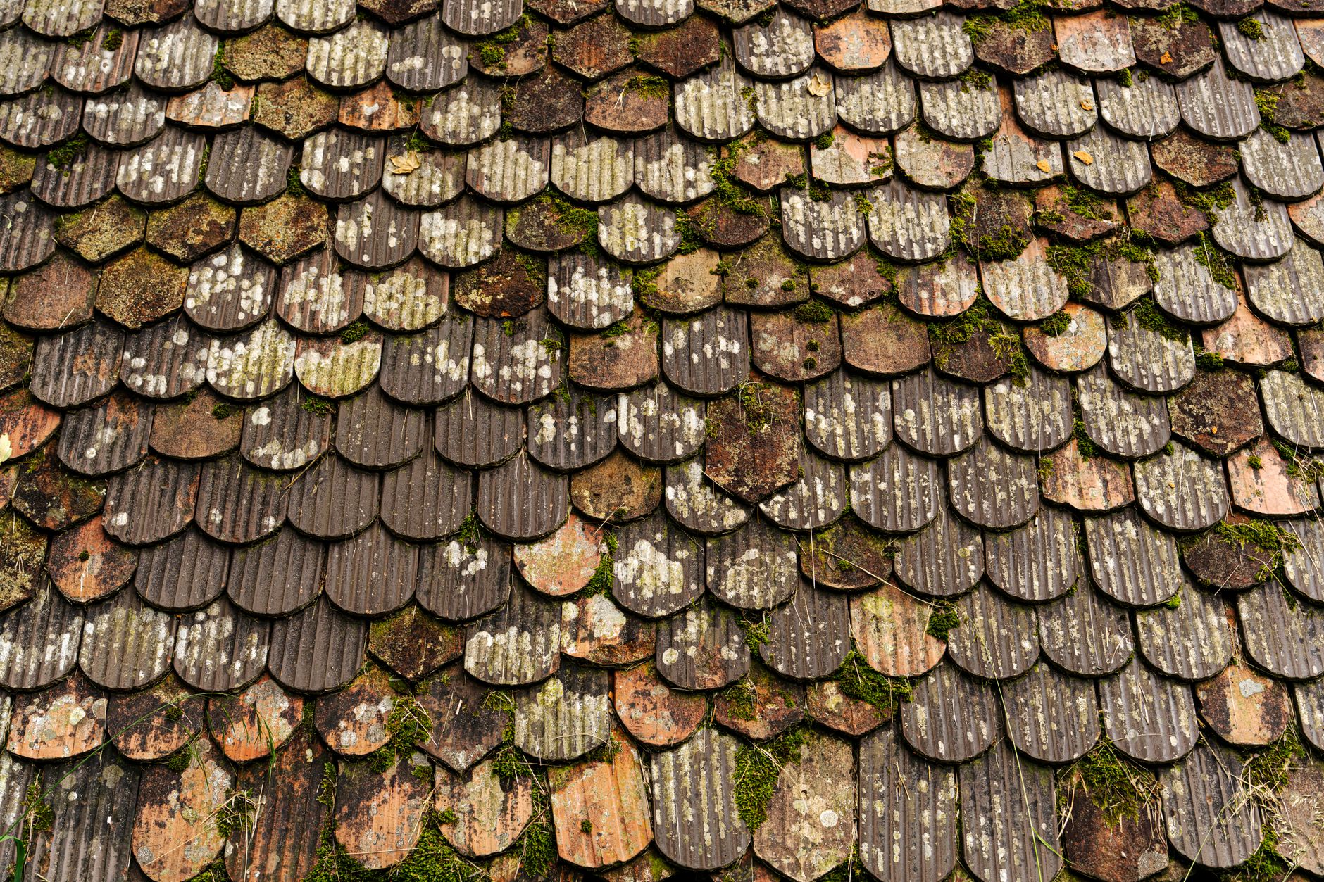 Restoring and Protecting Your Roof in Blacktown