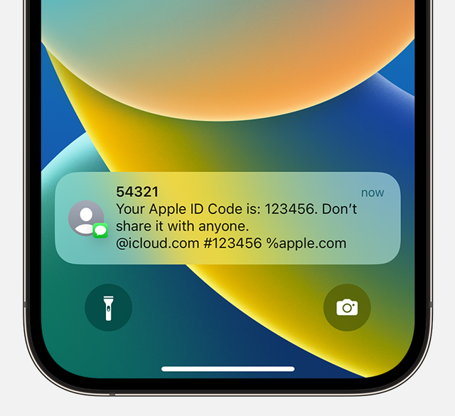 Not Receiving Verification Code Texts on iPhone