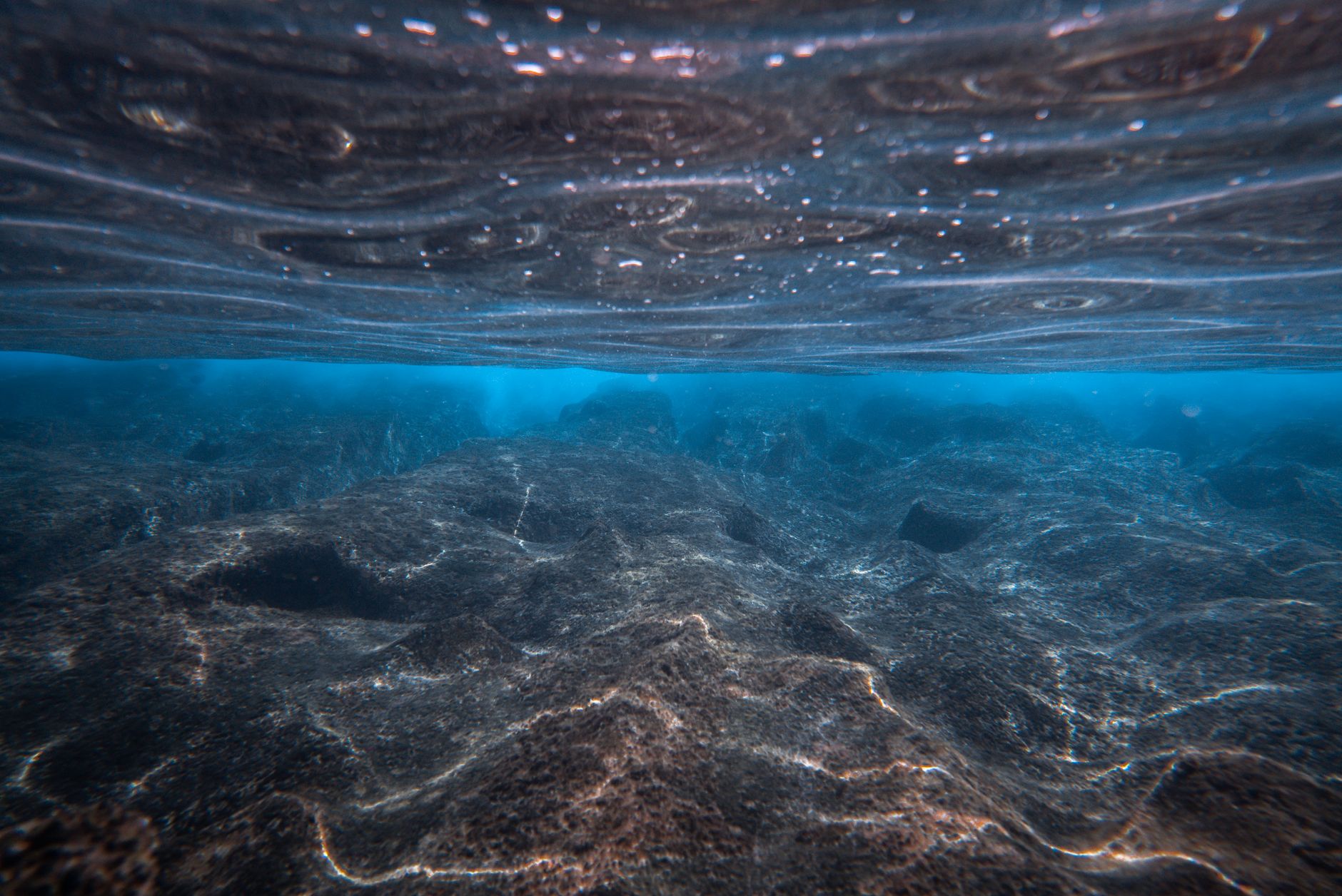 Unveiling the Hidden Depths of Legal Reporting