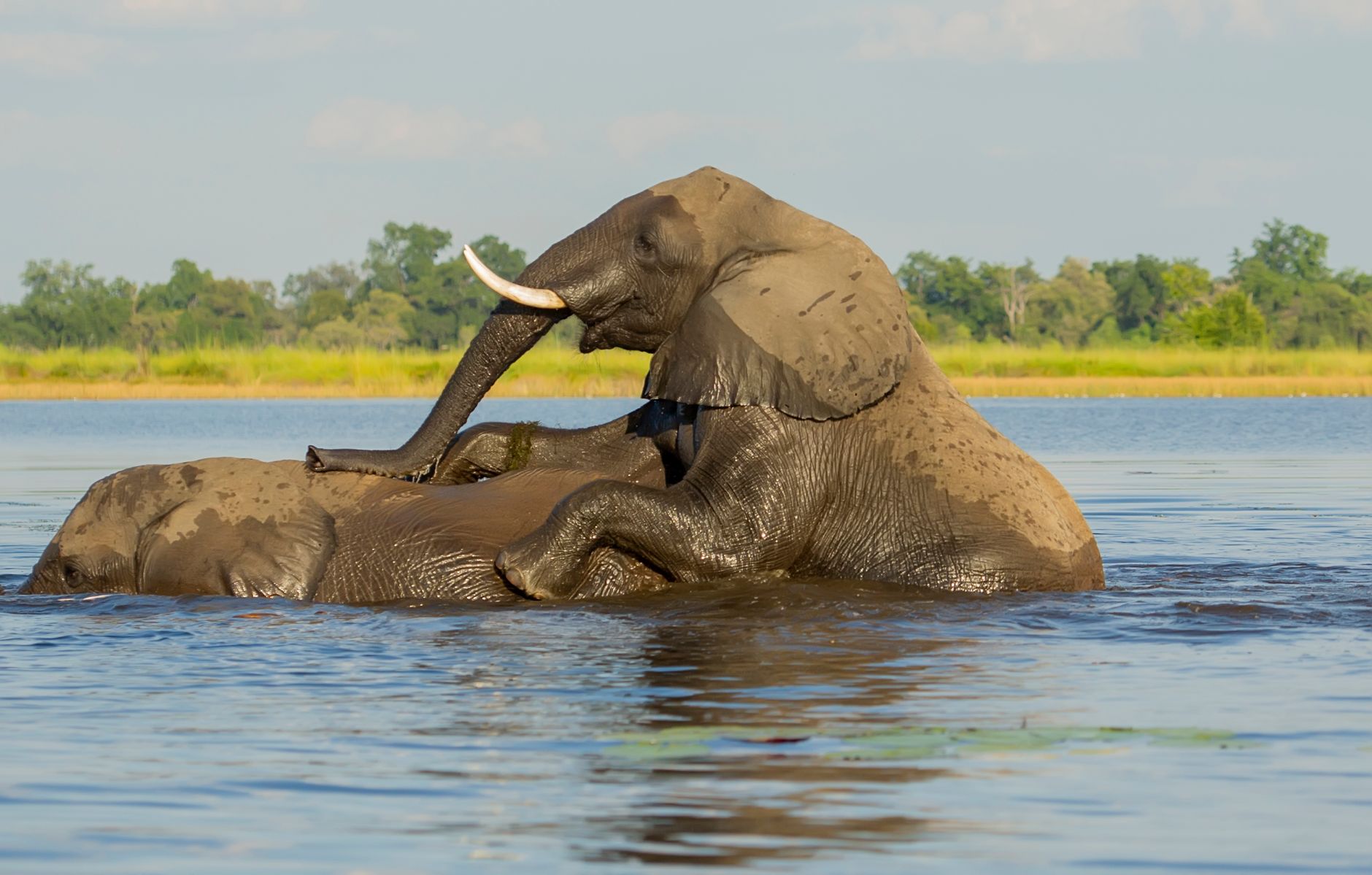 Get in Touch With Your Wild Side on Your Next Vacation