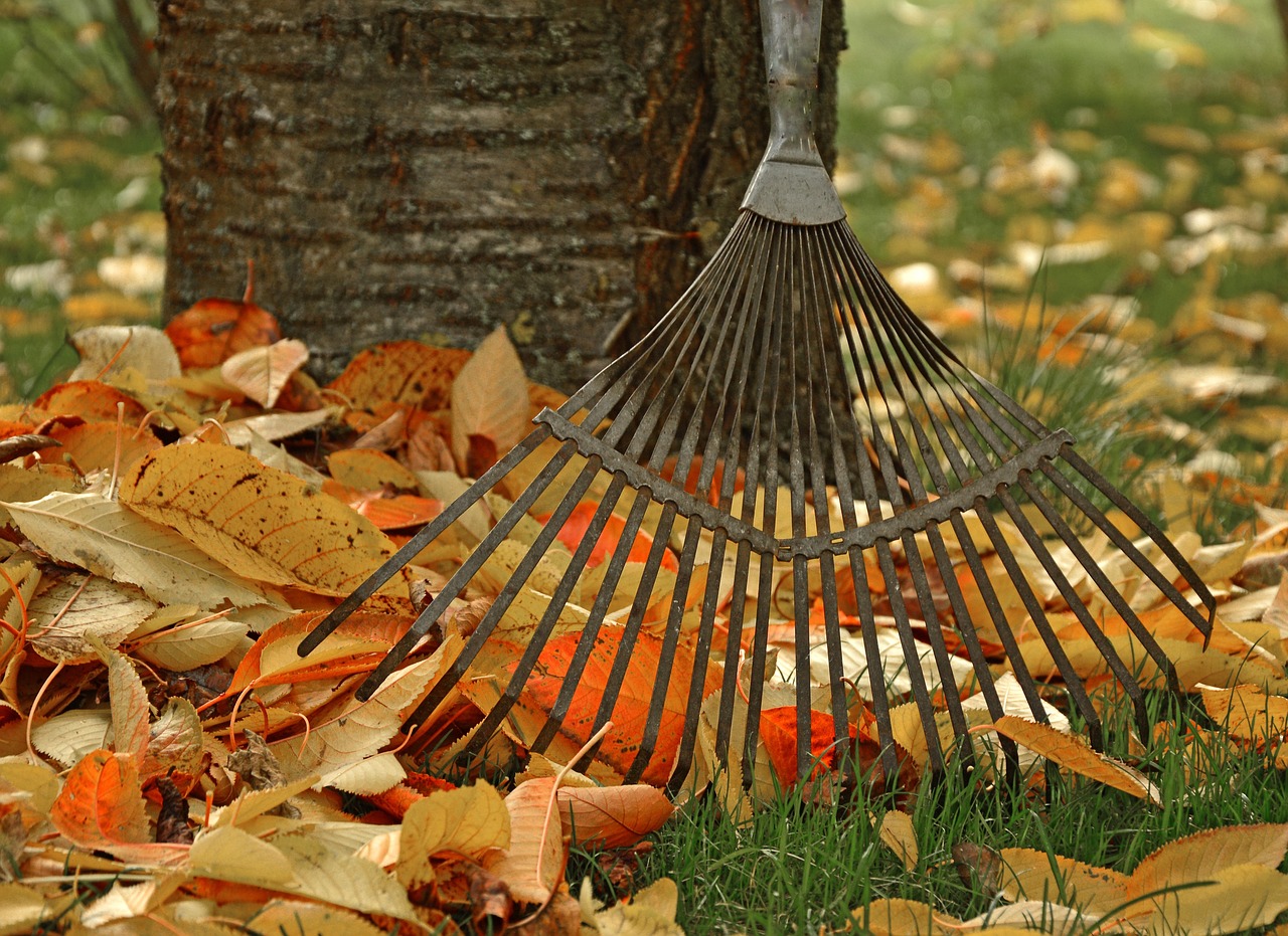 Buy your all kind of gardening tools online with best deals and offers