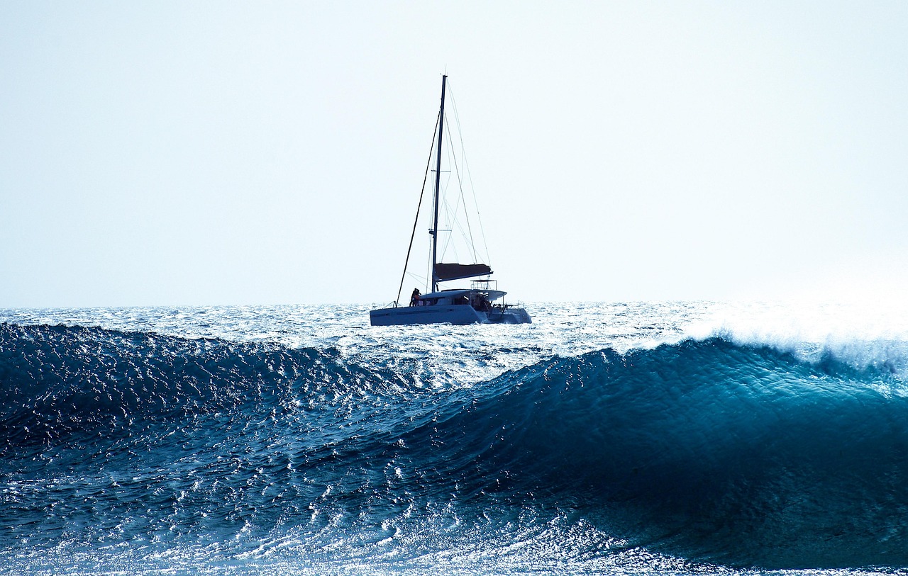 Navigating the Technological Horizon: Unraveling IT Services in Tampa