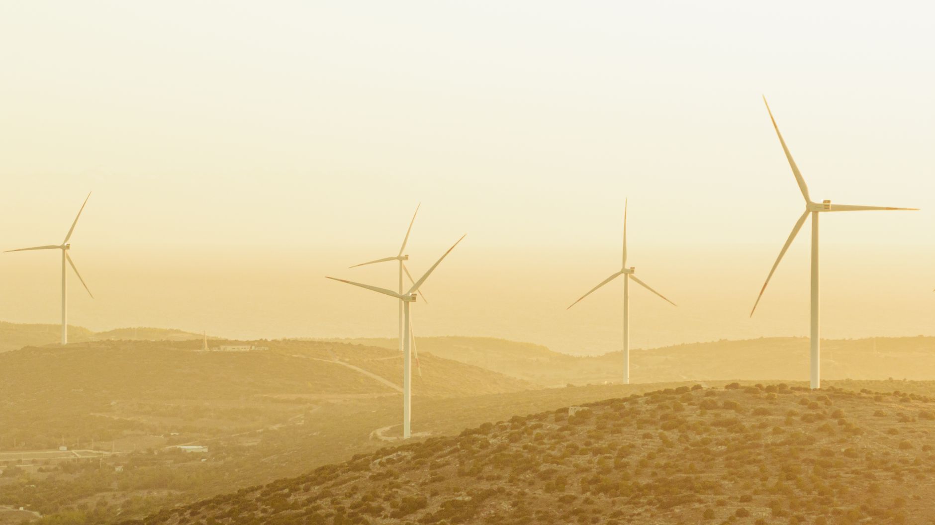 The Power of Sustainable Packaging: A Greener Future
