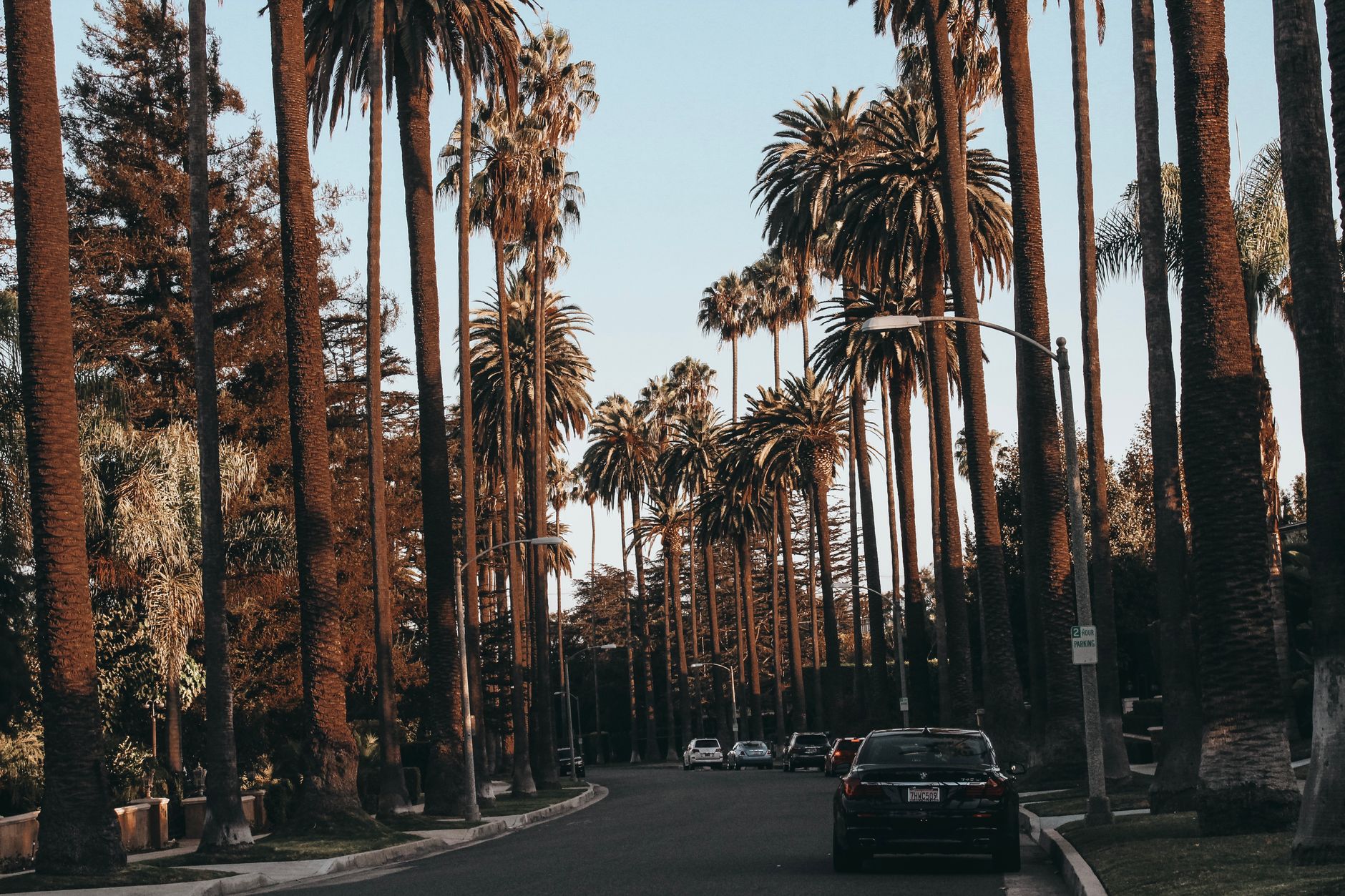 SEO Agency Los Angeles: Drive Growth with Expert SEO Services