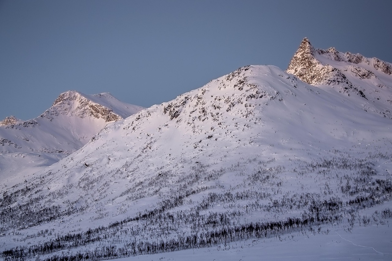 Top Vitamins To Tackle This Winter