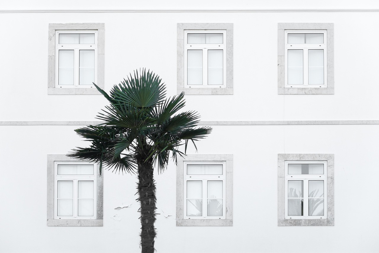 Mark Roemer Oakland Looks at Minimalist Principles That Help You Maximize Life