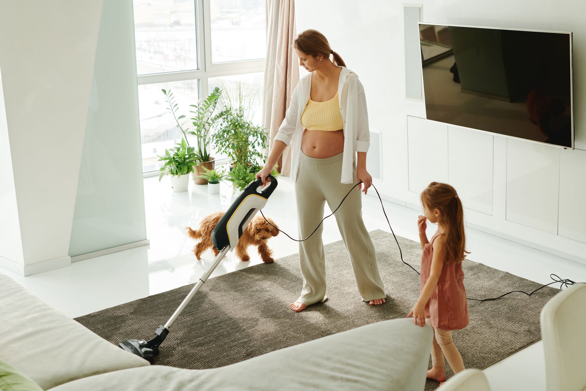 On Demand Carpet Cleaning: Your Trusted Local Cleaning Experts