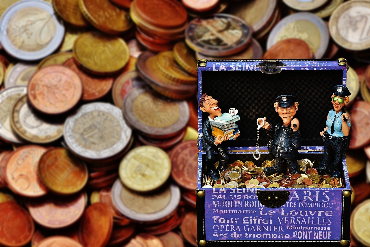 What is you know about the term, Tax-Fraud?