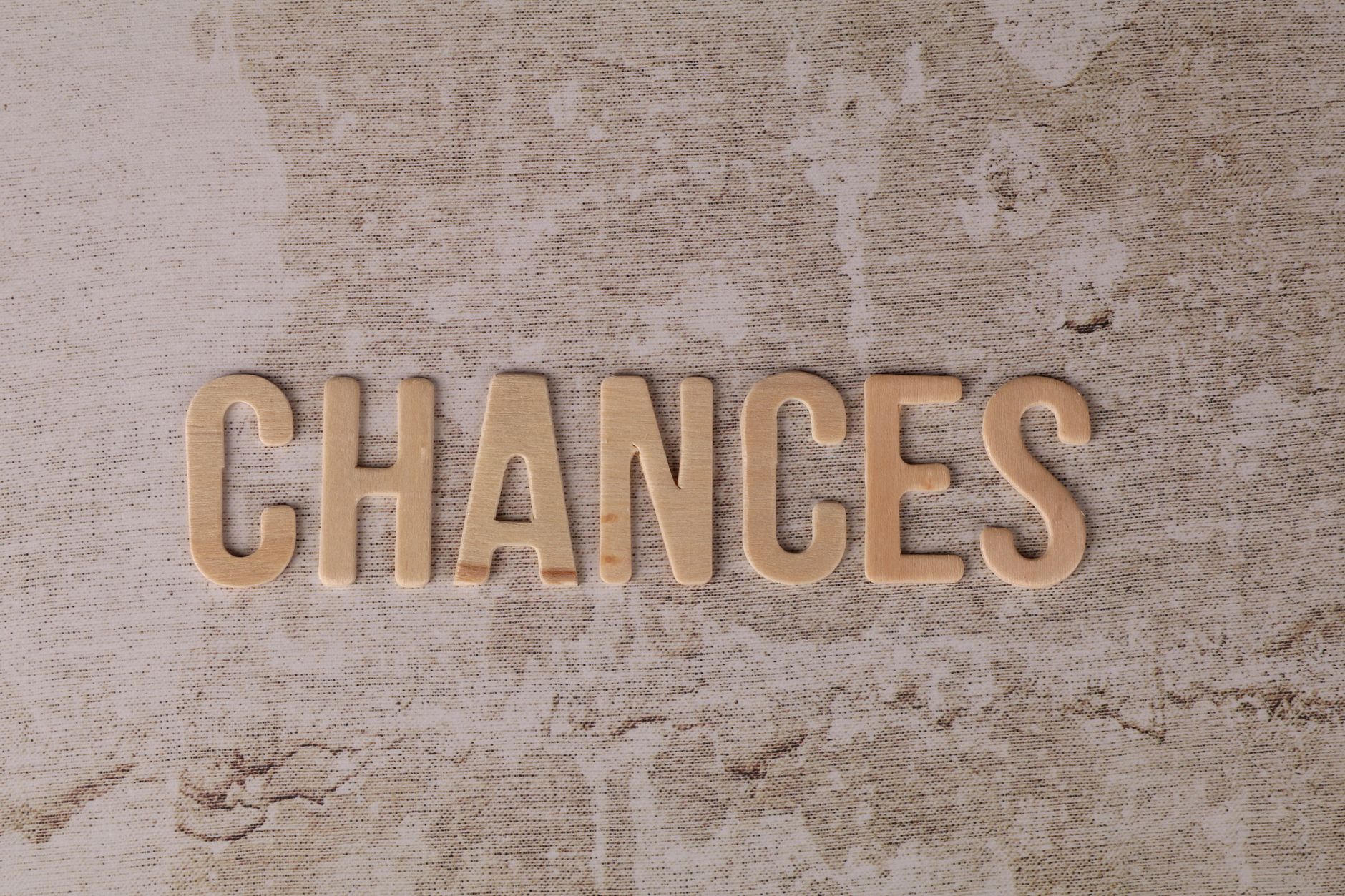 Auto Trading for Beginners: A Great Chance to Minimize Losses