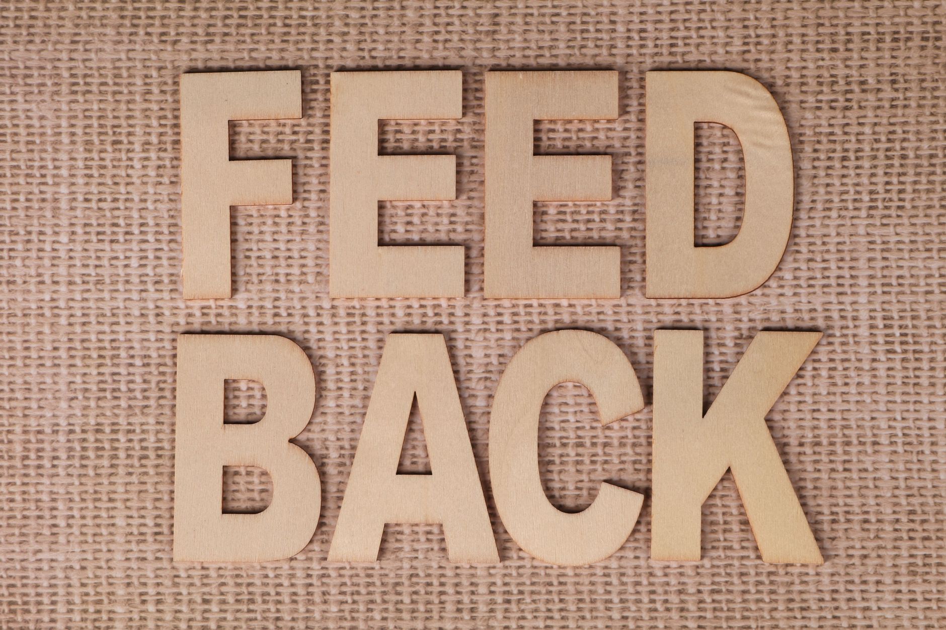 Understanding the Role of Feedback in Business Growth