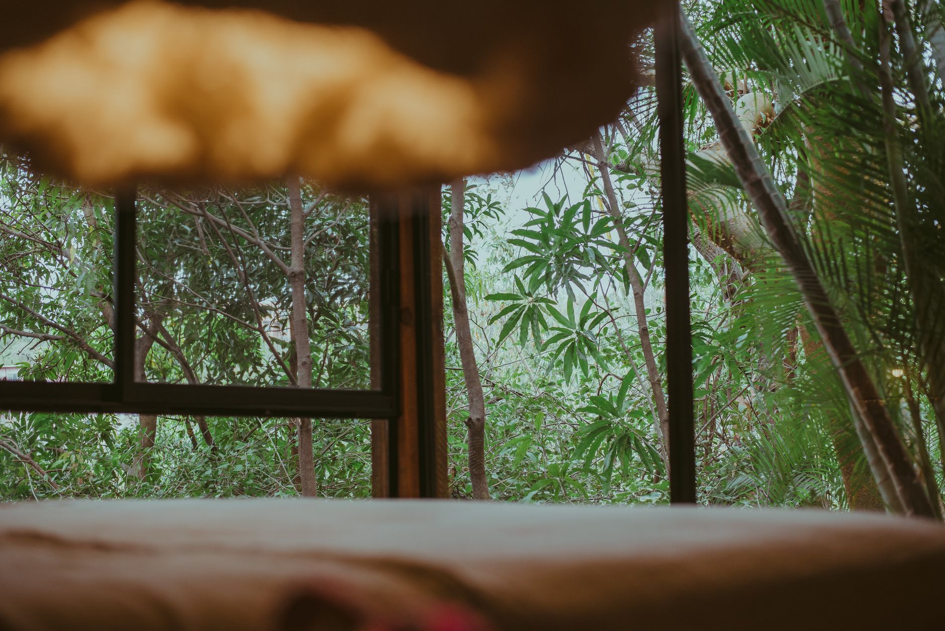The Role of Hotels in Sustainable Tourism