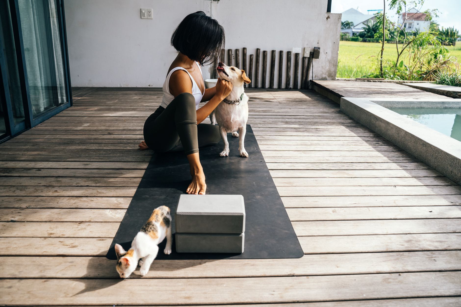 Creating Healthy Boundaries with Your Pet