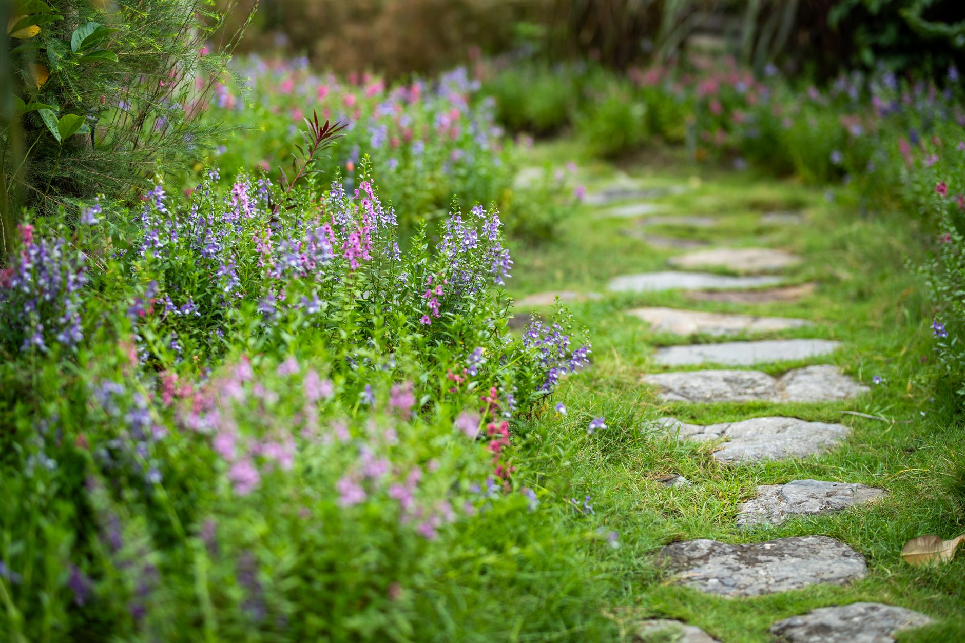 Creating a Beautiful Garden Pathway for Your Home