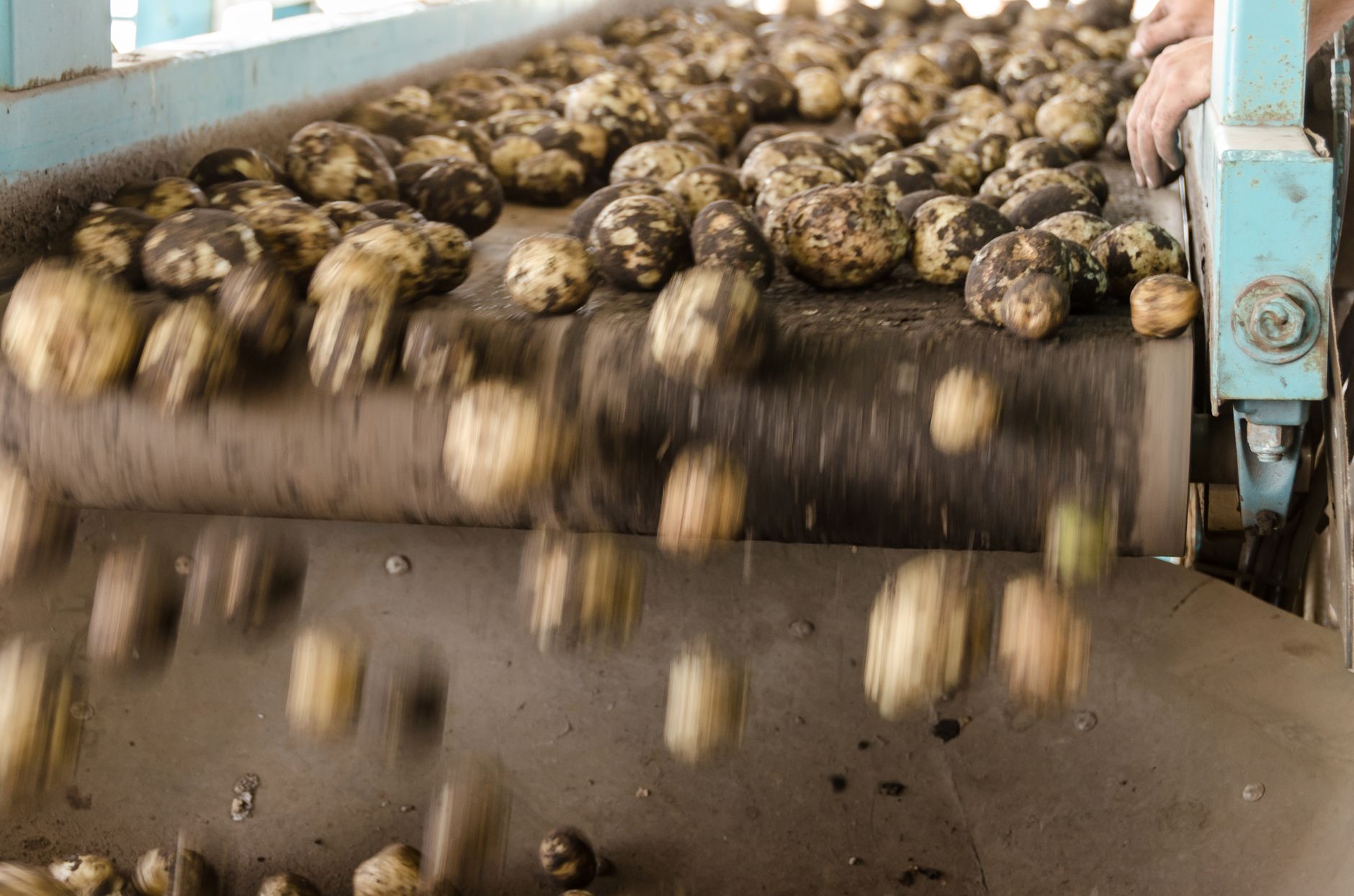 The Impact of Technology on Global Food Supply Chains