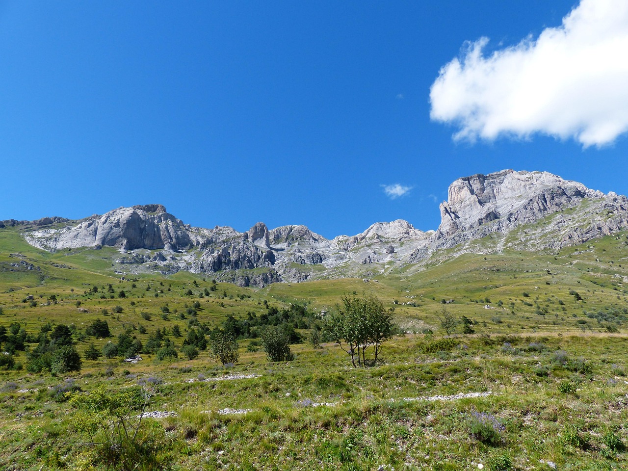 Isola delle Tartarughe