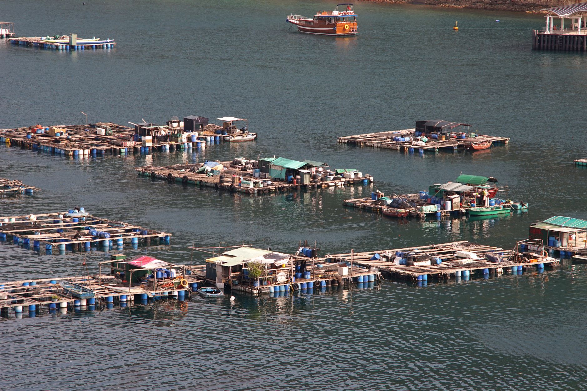 Hong Kong to lure fund managers with incentives