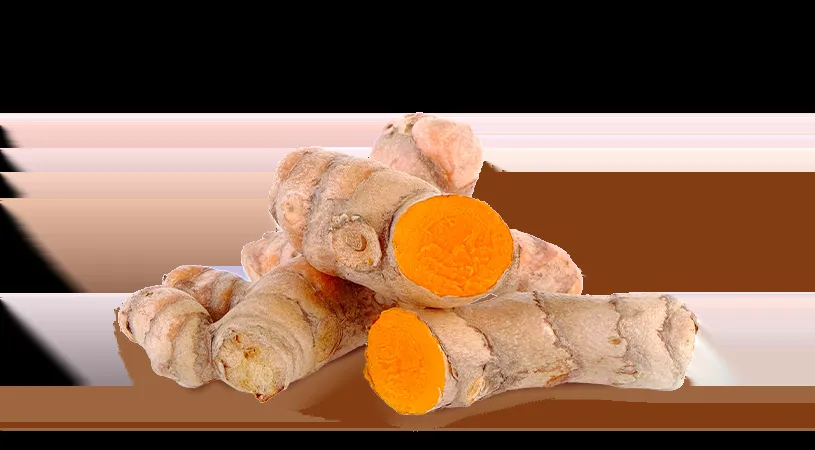 All-natural food coloring and turmeric extract manufacturer practical guide for modern food production