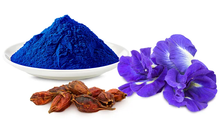 Food Color Suppliers and Food Coloring Powder Suppliers: A Guide for the Modern Food Industry