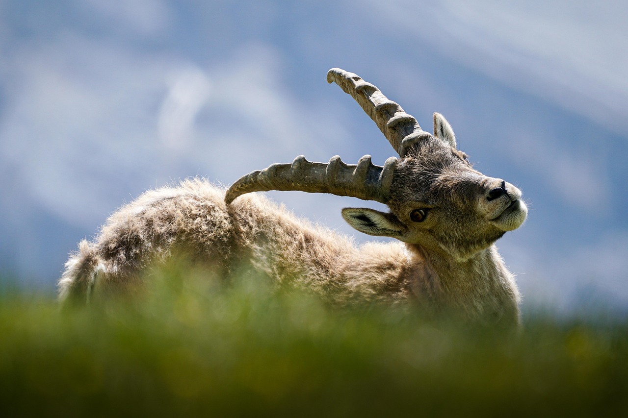 Why a Strong Selling Strategy Matters