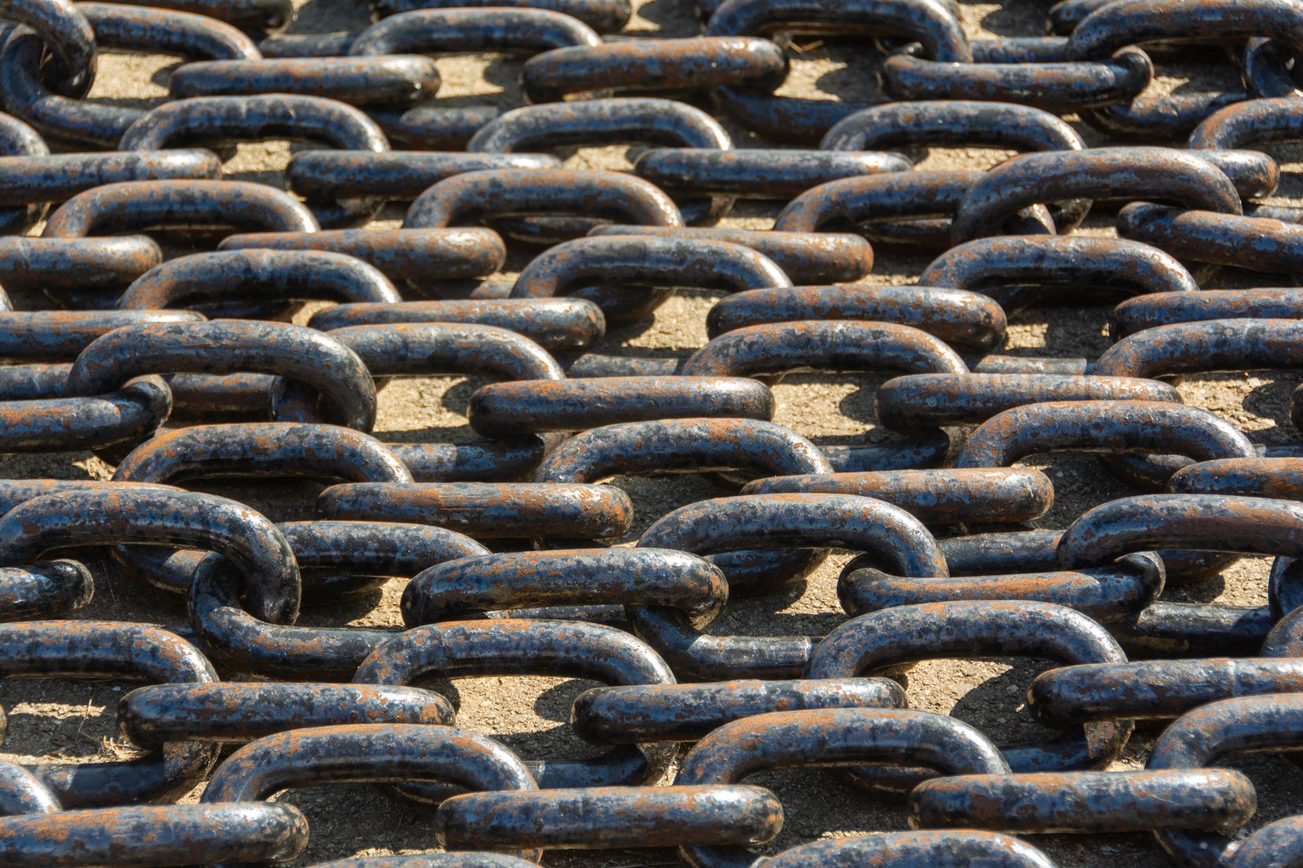 A beginner’s guide to reading options chains