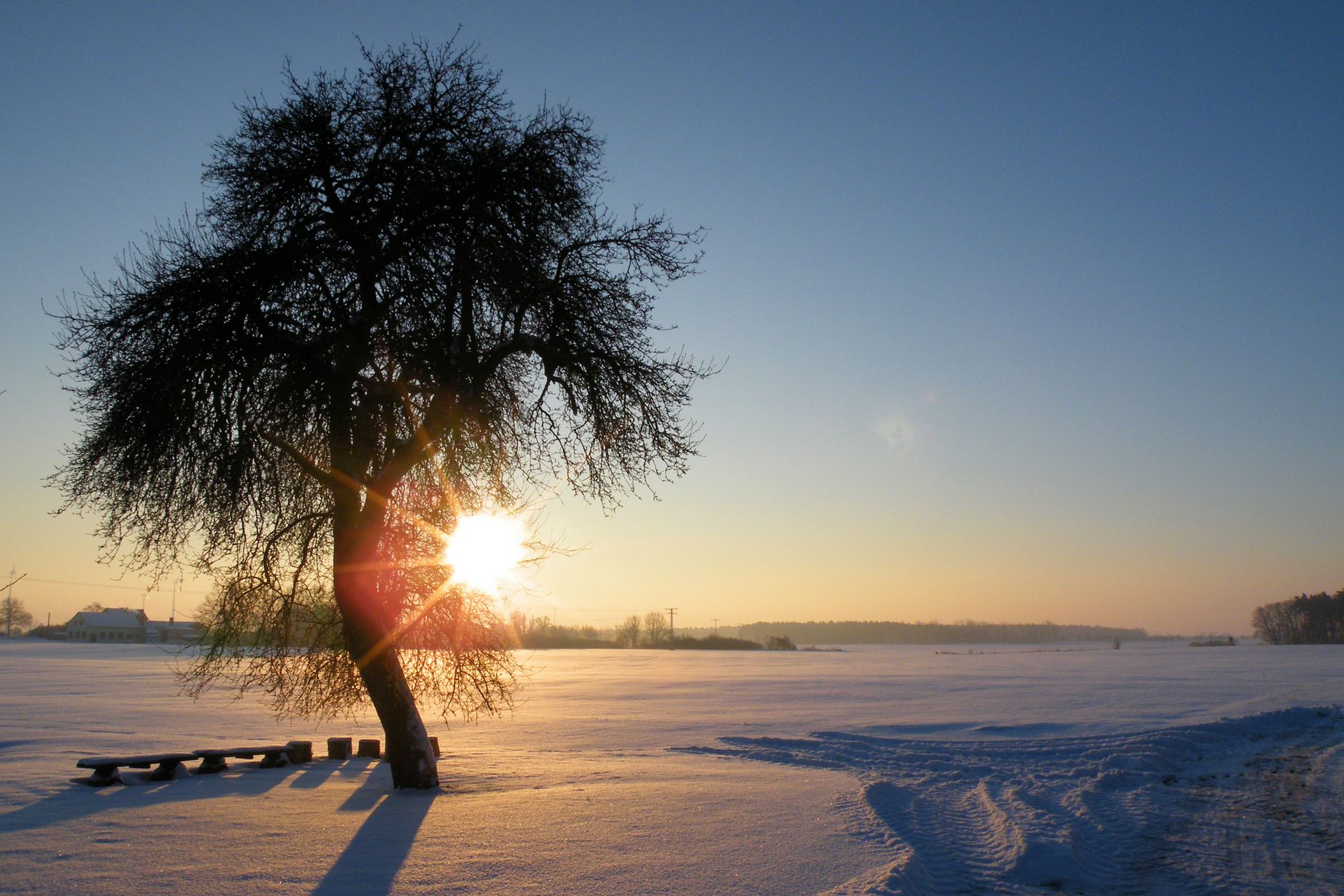 Winter Blues? 3 Reasons Why Swedes Love Sun Vacations