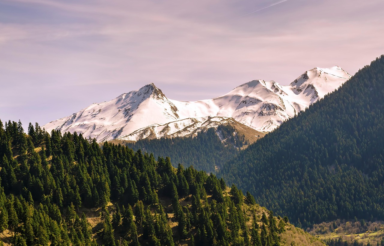 Accor Eco-Friendly Initiatives for Planet 21: Redefining Sustainable Hospitality