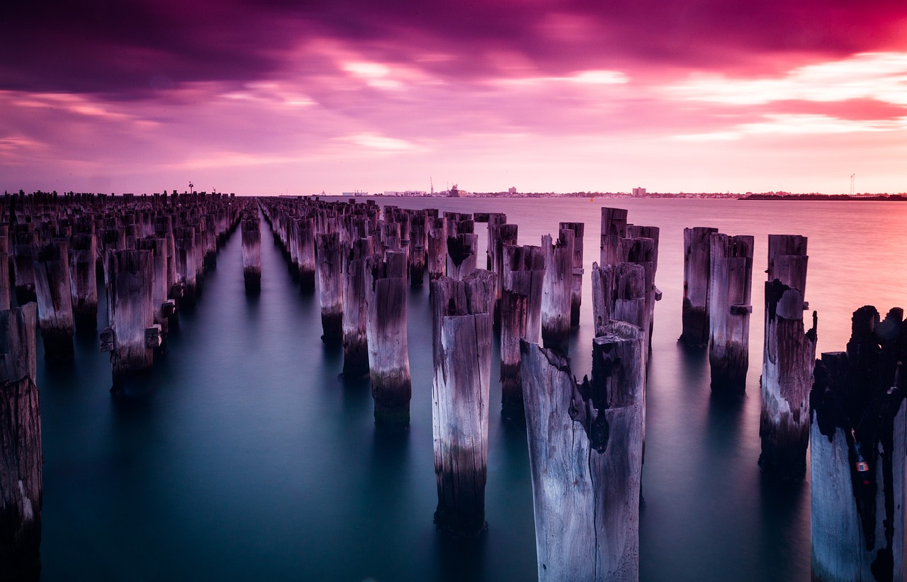 Accountants in Melbourne: Navigating the Dynamic Landscape