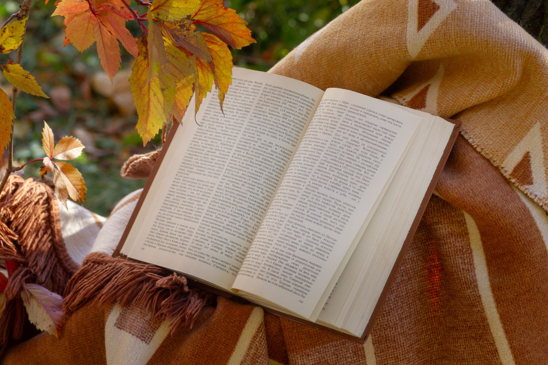 Why Custom Printed Blankets Are the Ideal Gift for Every Occasion