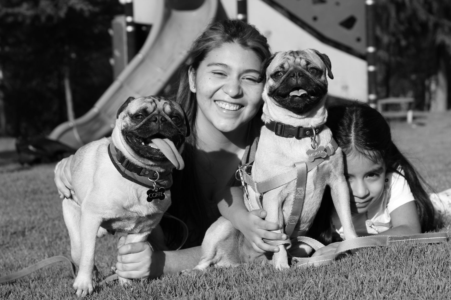 Pets for Children – Which the Best Pet for My Child?