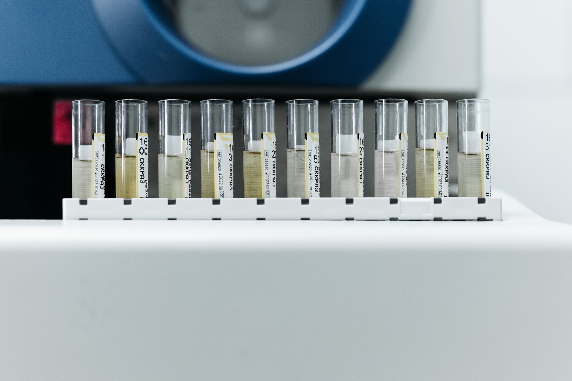 What types of DNA tests are there?