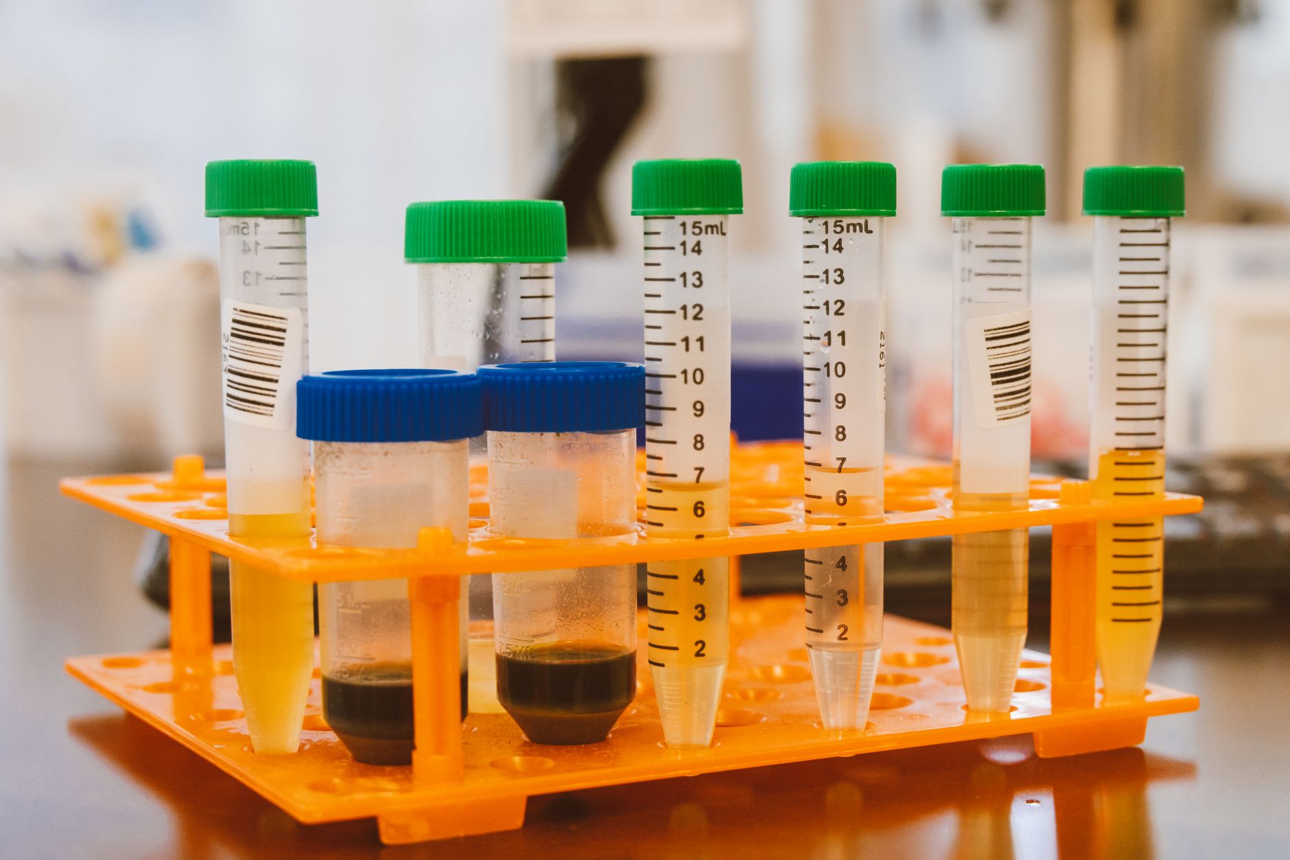 Different kinds of DNA tests