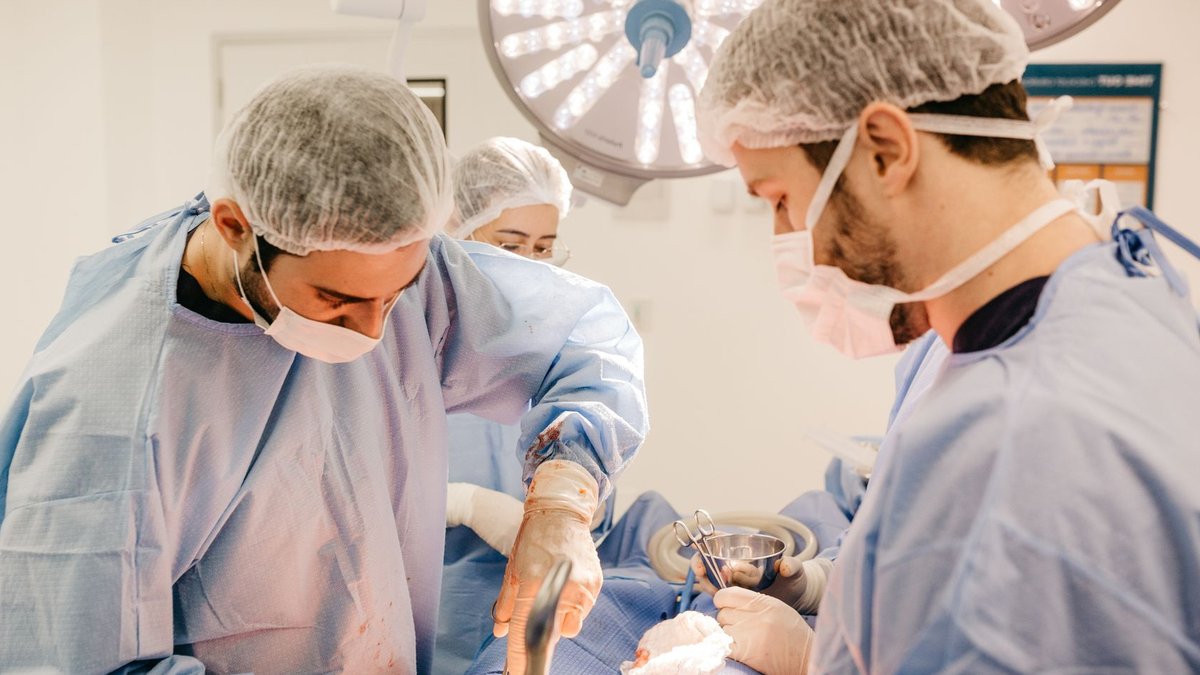 Surgeons Find Living Worm in Man's Groin - living tapeworm