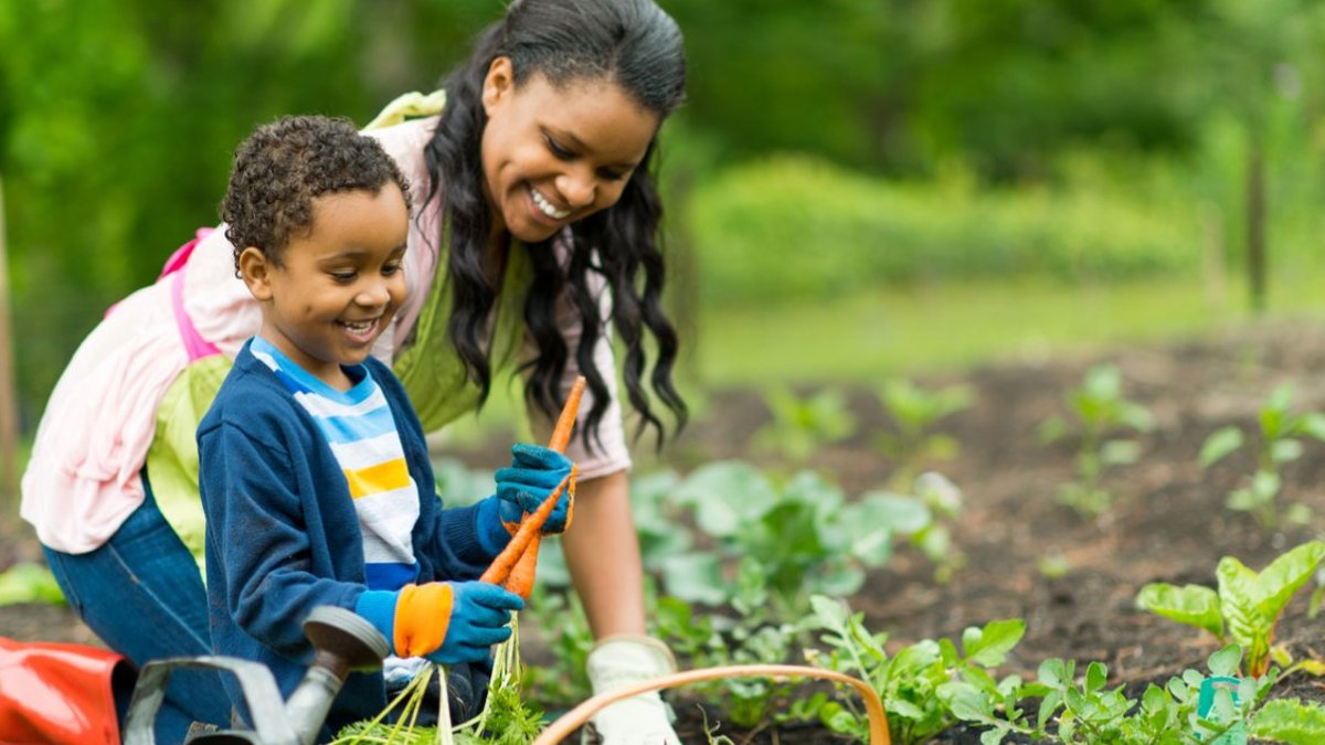 8 Fruits and Vegetables That Fail in Pots 8 Fruits and Vegetables That Fail in Pots - container gardening
