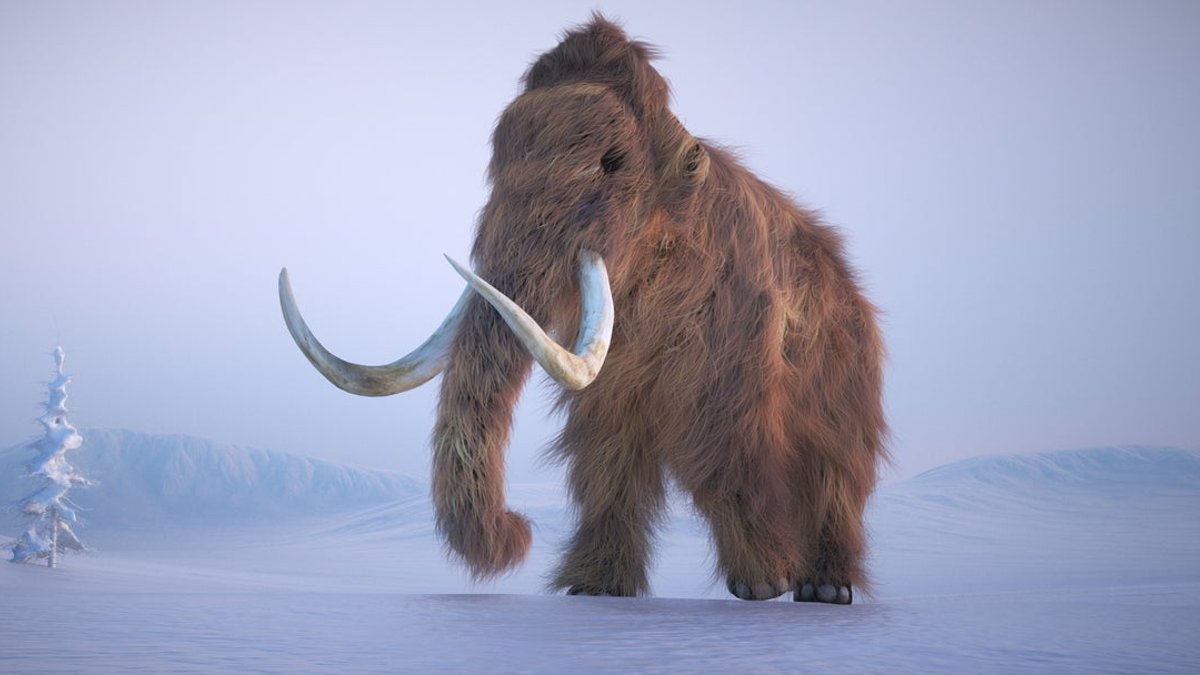 Deextinction Debate Overshadows Key Conservation Issues - deextinction debate