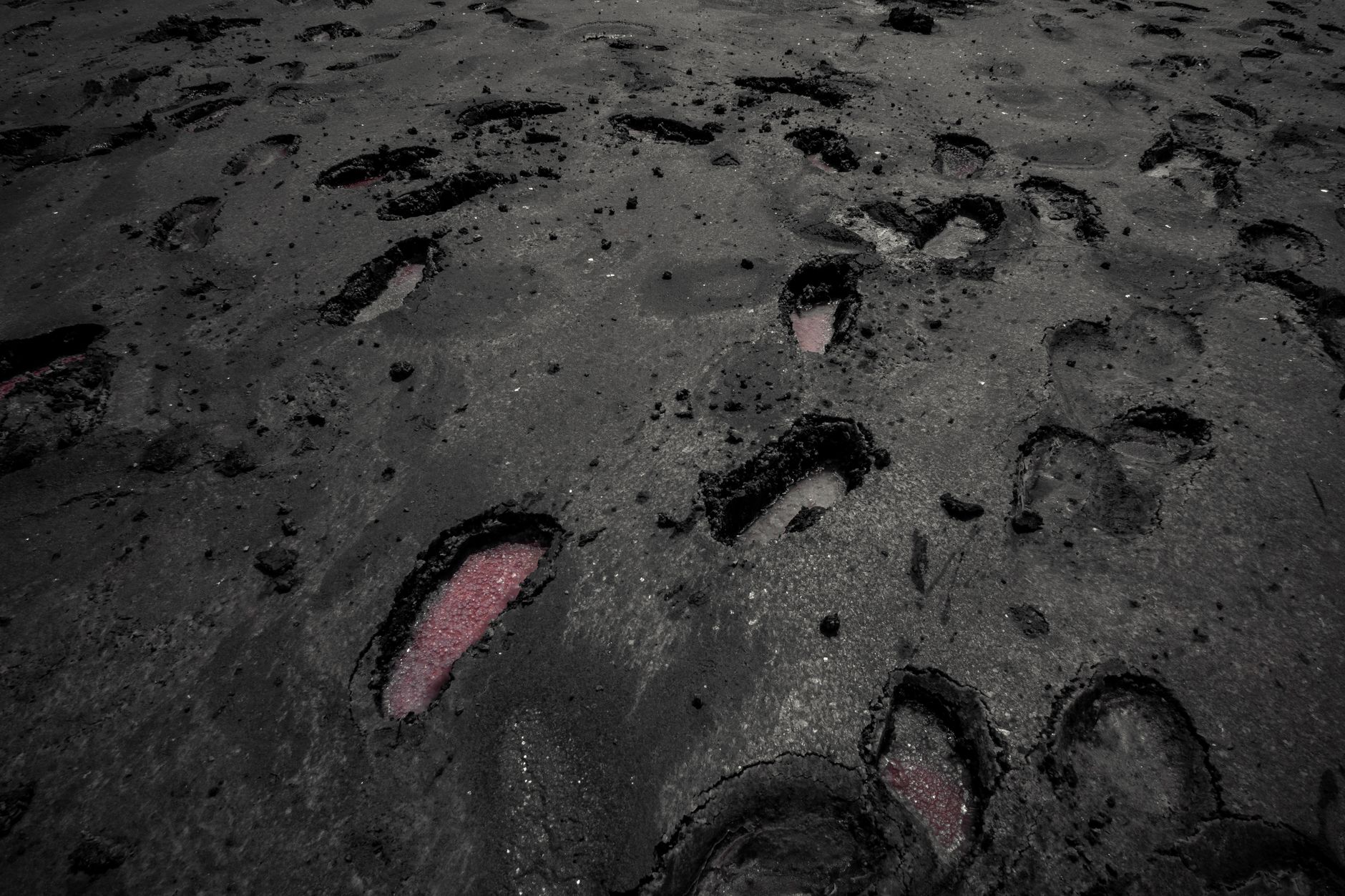Scarlet Traces