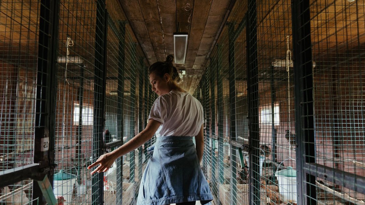 Local Girl Discovers Historic Farm in Connecticut Local Girl Discovers Historic Farm in Connecticut - historic farm