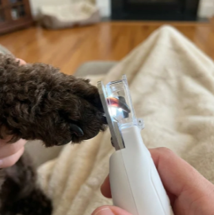 Quiet dog nail grinder review