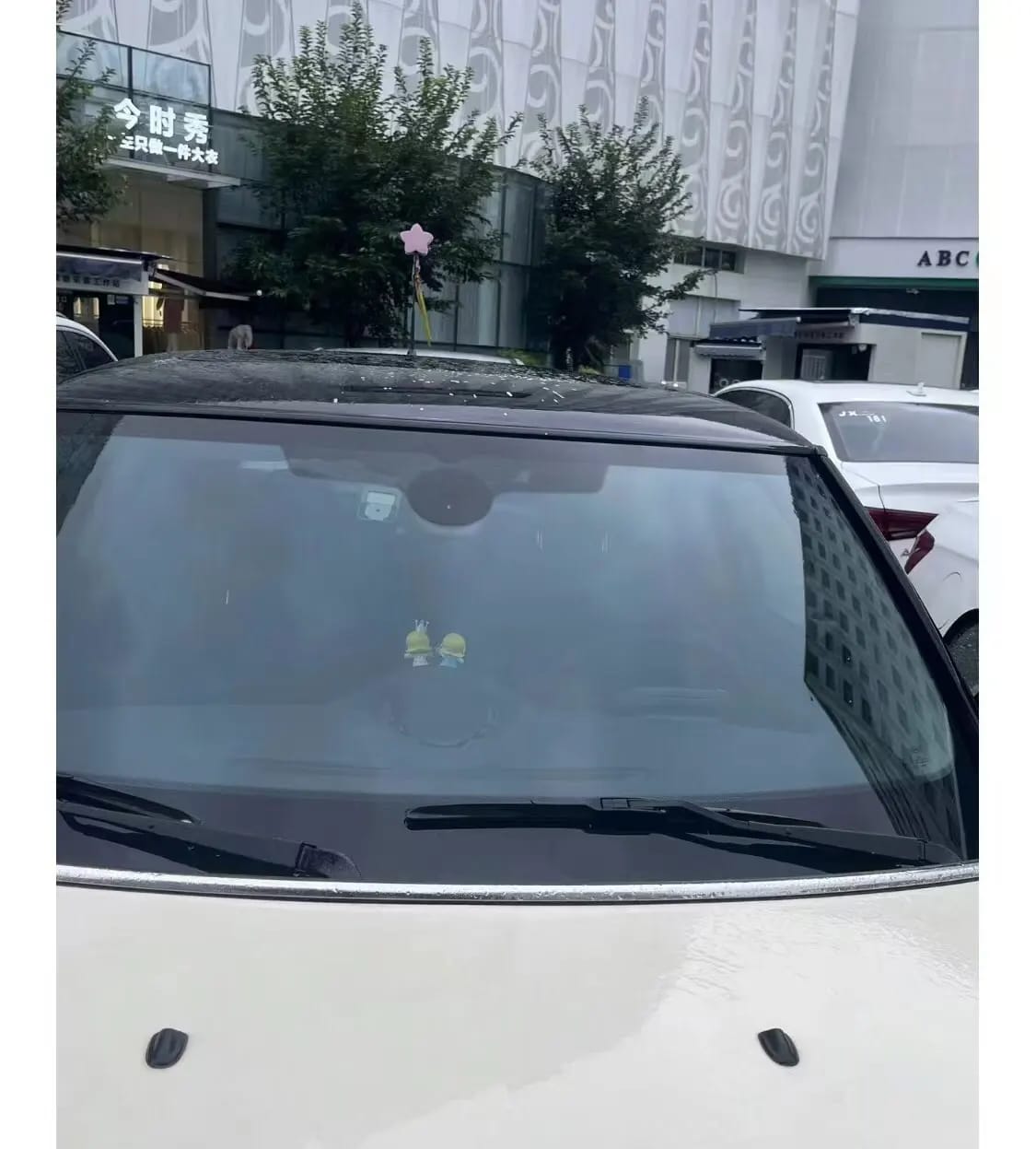 Kapybras car care product customer review