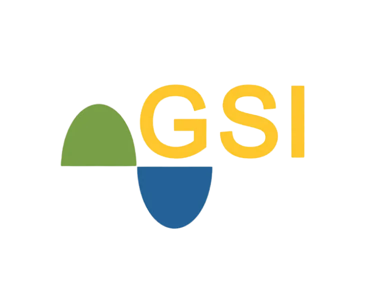 Logo GSI