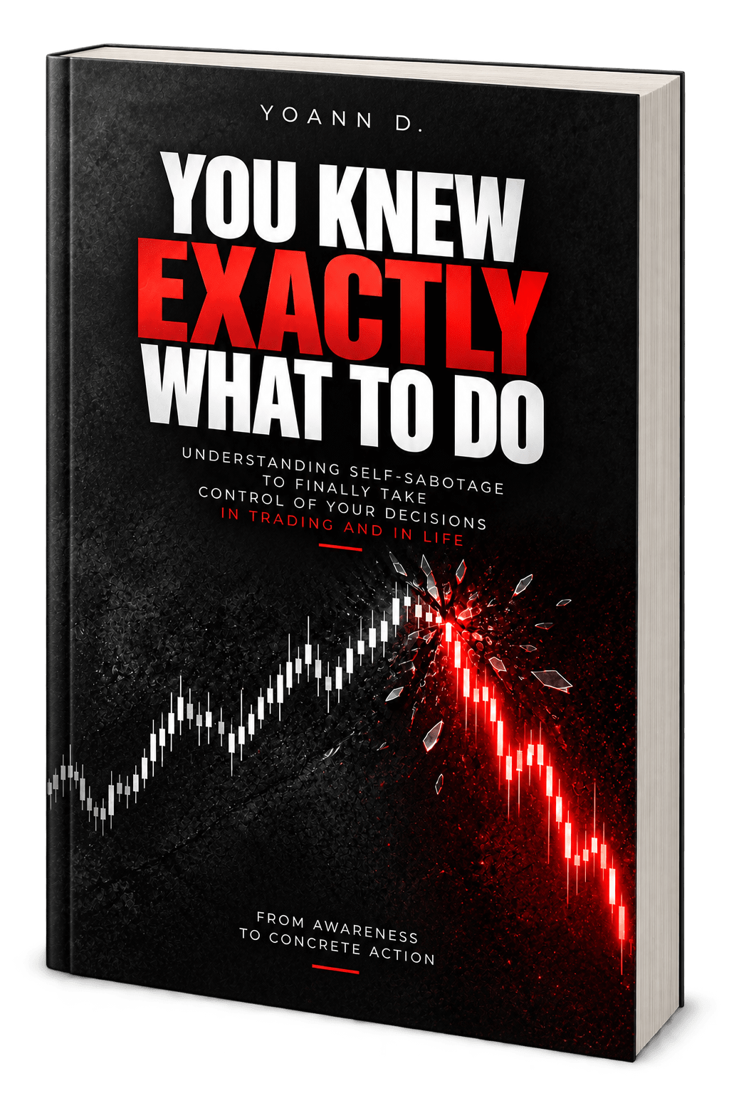 You Knew Exactly What To Do by Yoann D.