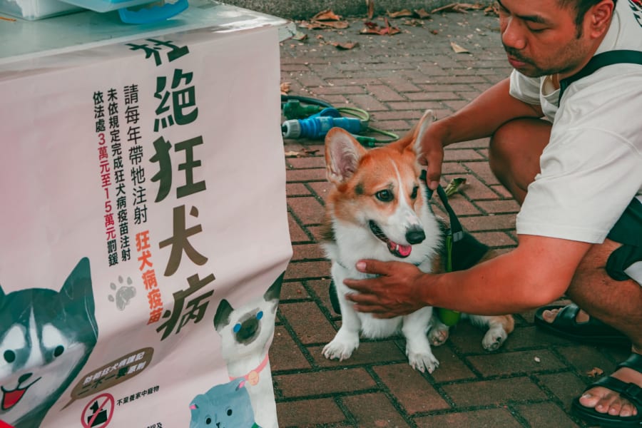 南纛市 71