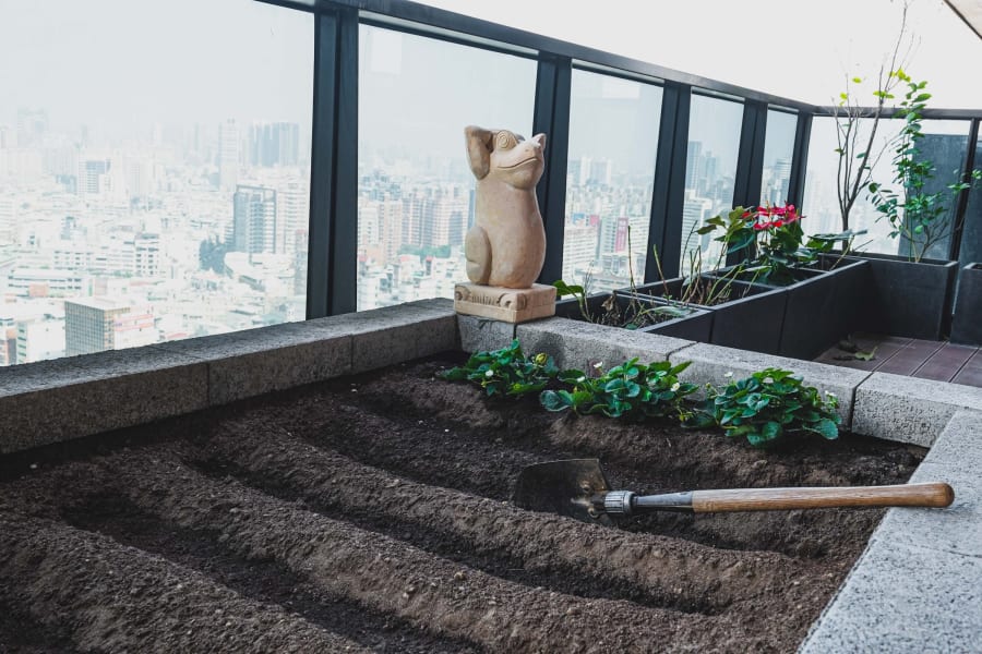 龍騰 16