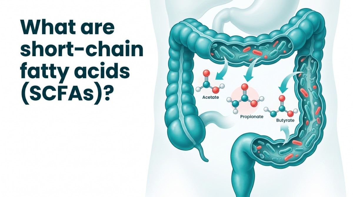 short chain fatty acids (SCFAs)