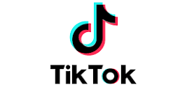 TikTok Icon