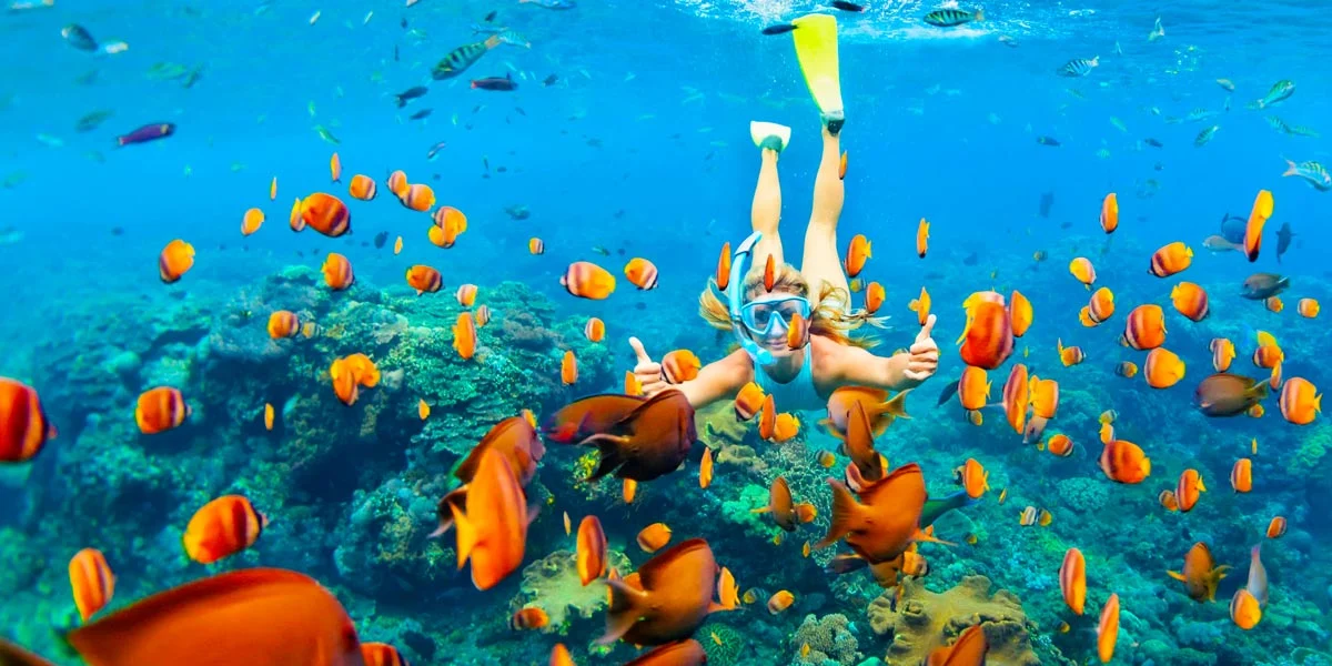 Snorkeling